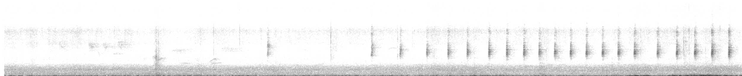 Lewin's Rail - ML640643699