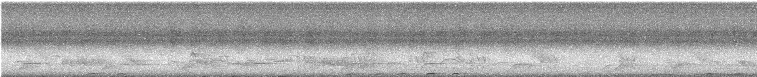 diademmotmot - ML640644895
