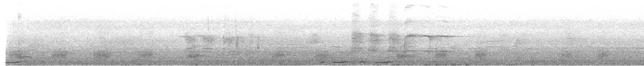 Bar-shouldered Dove - ML640645951