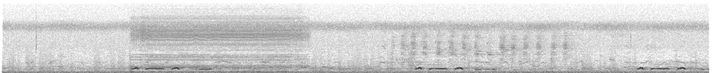 Bar-shouldered Dove - ML640646039