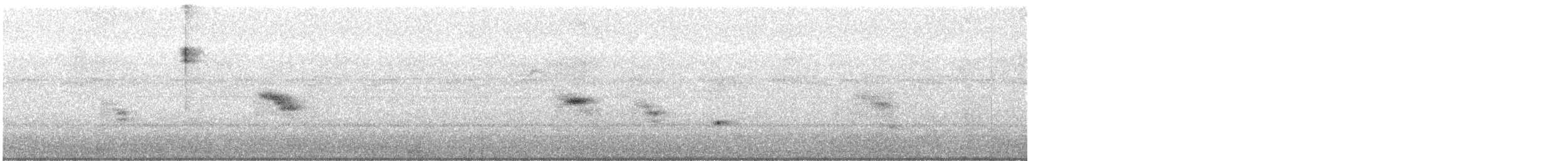 アメリカヨタカ - ML640647895