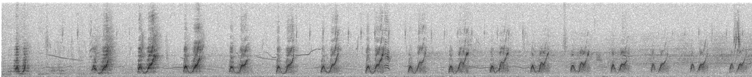 Oie-armée de Gambie - ML640648548