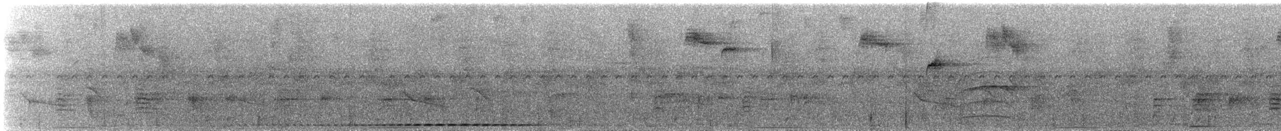 Scaled Antpitta - ML640655087