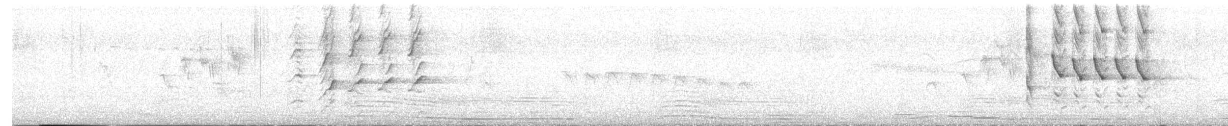 Carib Grackle - ML640657521