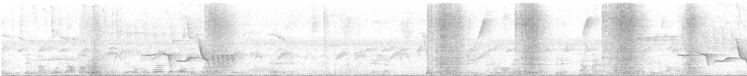 Rufous-breasted Wren - ML640658363