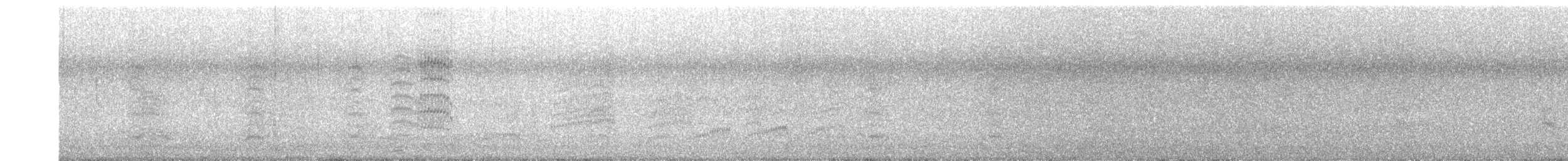 Kelp Gull - ML640659551