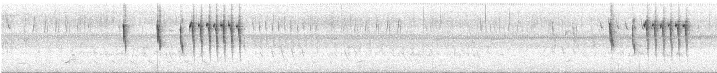 Troglodyte à bec court - ML640660758