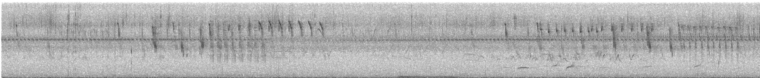 Troglodyte à bec court - ML640660759
