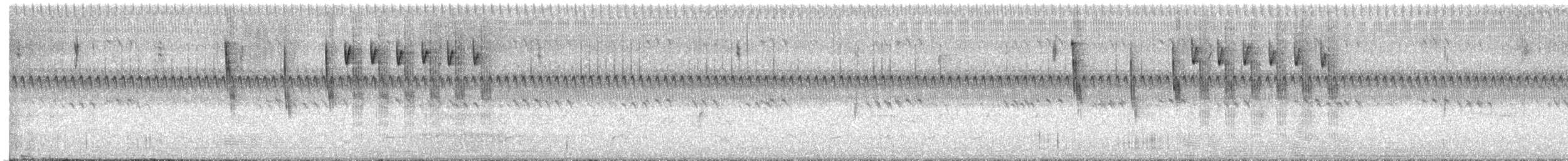 Troglodyte à bec court - ML640660761