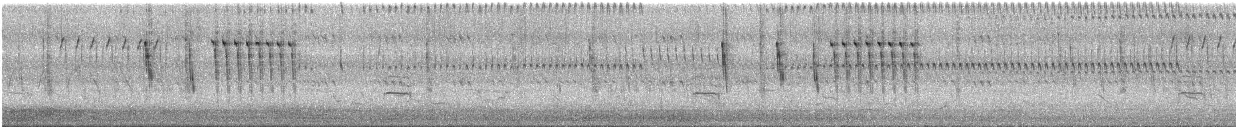 Troglodyte à bec court - ML640660762