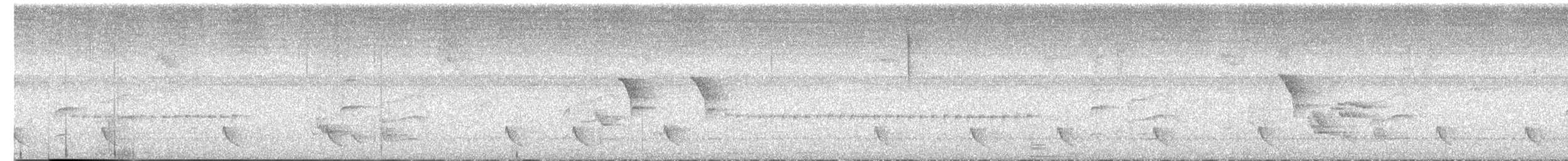 Black-striped Sparrow - ML640661774