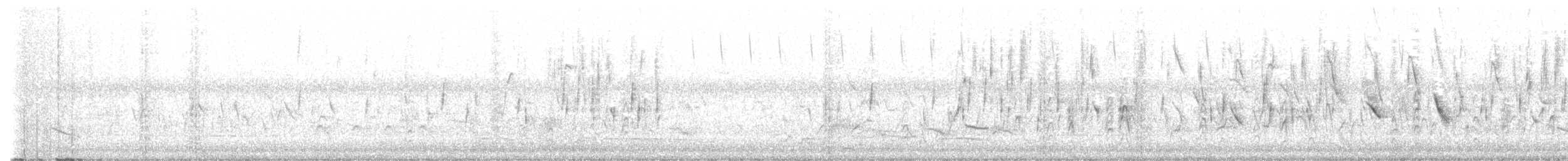 Elegant Euphonia - ML640662950