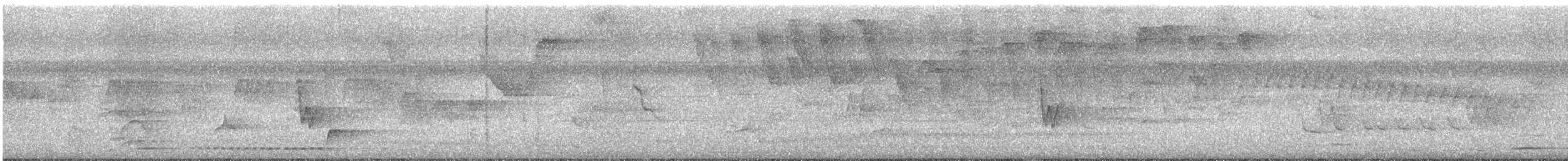 Rufous-and-white Wren - ML640664087