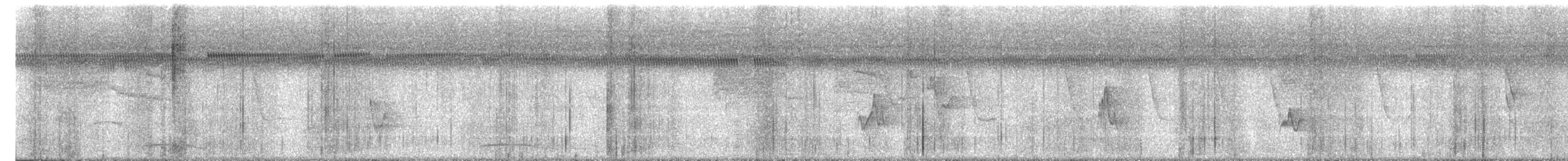 Collared Forest-Falcon - ML640664988