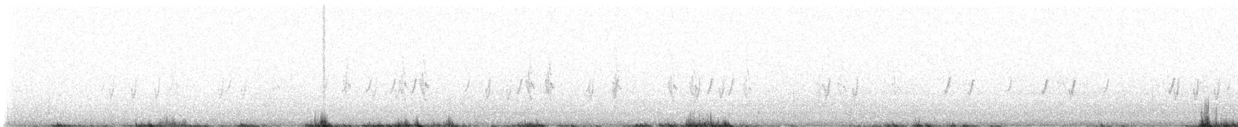 Piquituerto Común (tipo 4) - ML640666823