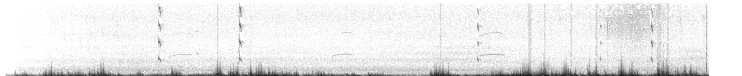 Eurasian Oystercatcher (Western) - ML640667087