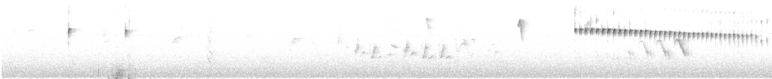 Grayish Piculet - ML640671144
