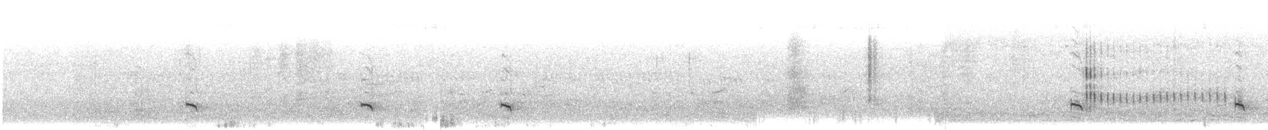 Stilt Sandpiper - ML640674348