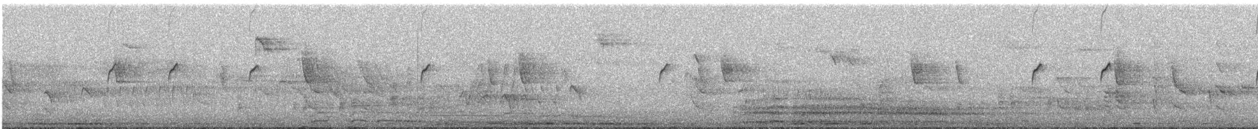 Buff-winged Cinclodes - ML640676514