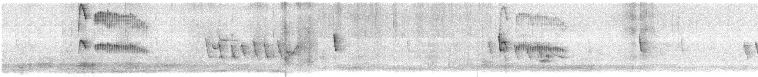 Straneck's Tyrannulet - ML640677233