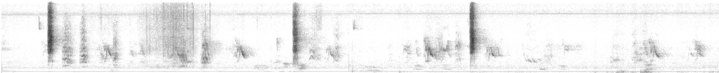 White-banded Mockingbird - ML640677344