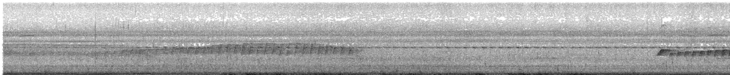 Alapi paludicole - ML640677414