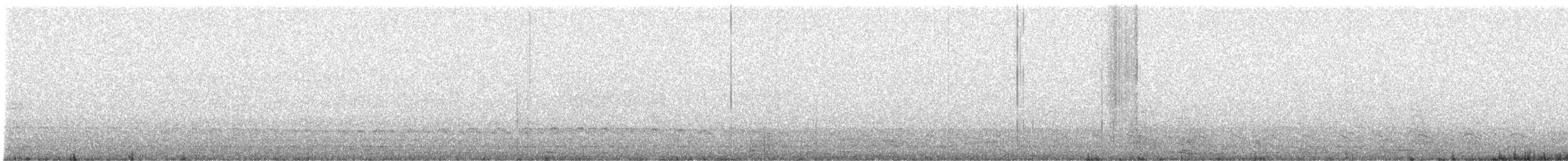 Oedicnème du Pérou - ML640677458