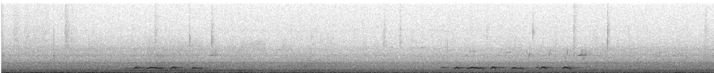 Bar-shouldered Dove - ML640678841