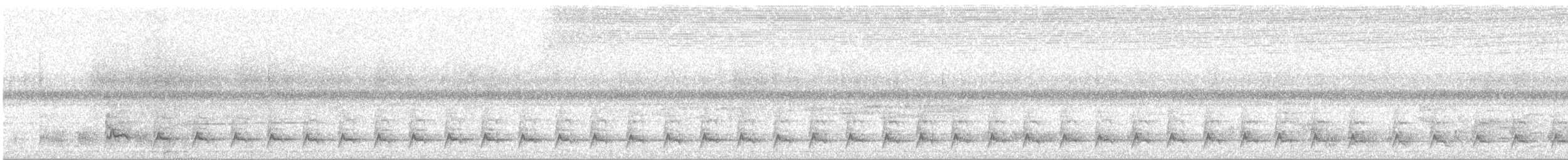 Red-tailed Bristlebill - ML640679152