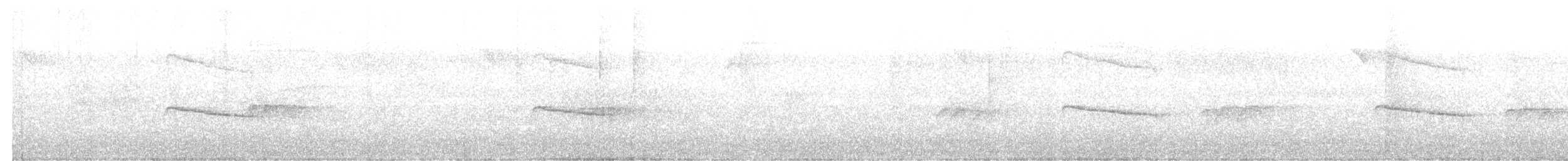 ムジヒメアリサザイ - ML640680071