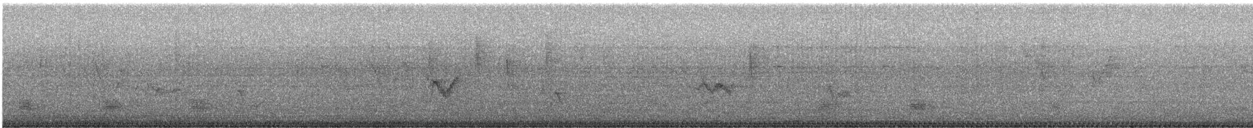 Plumbeous Vireo - ML640680801