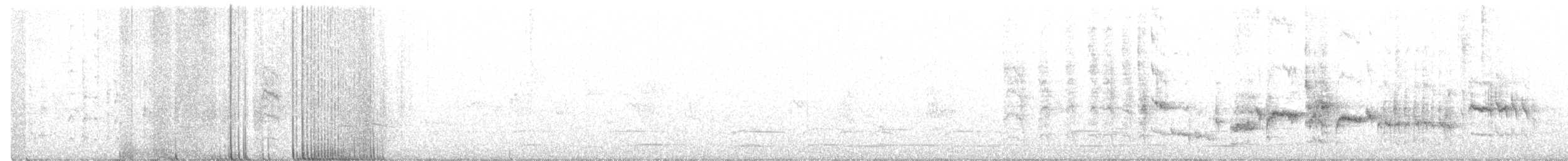 Pipipi - ML640681752