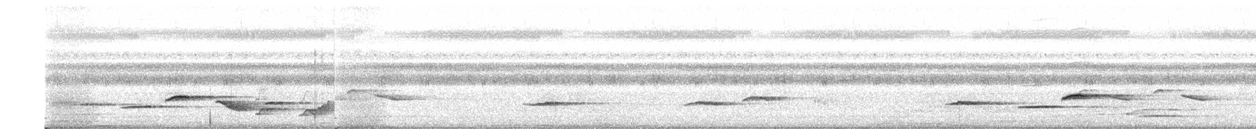 White-rumped Shama - ML640682231