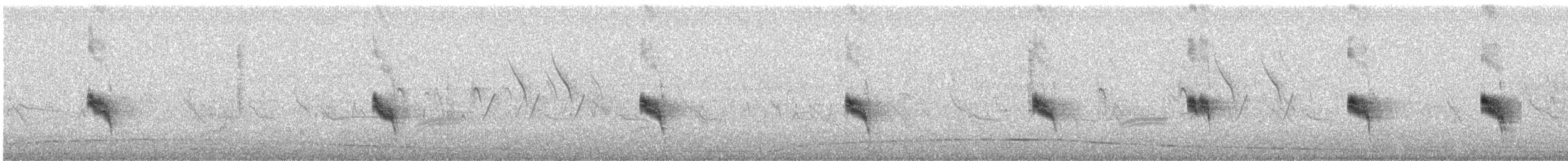 Canyon Wren - ML640682792