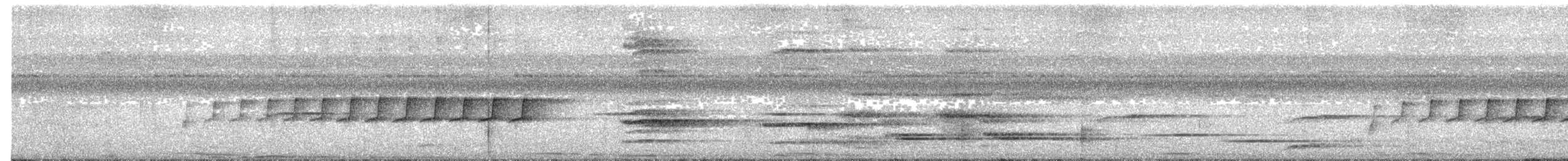 Shining Flycatcher - ML640683694
