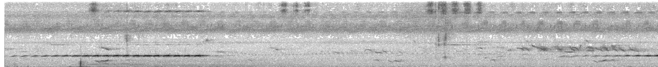Shining Flycatcher - ML640683715