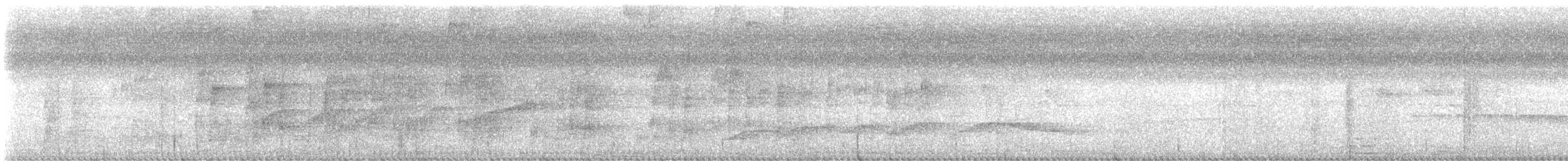 Weißstirn-Ameisenschnäpper - ML640684698