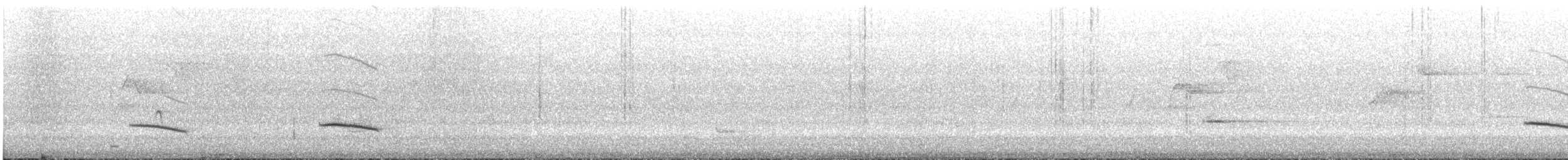 Eastern Shrike-tit - ML640685415