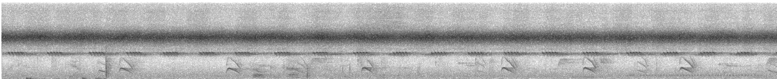 Plain Antvireo - ML640685499