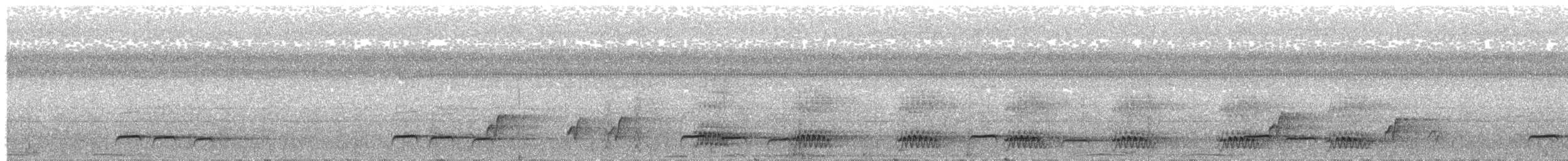White-crowned Cuckoo - ML640685936