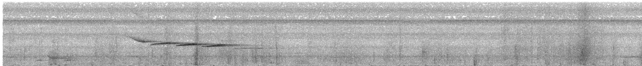 Rhipidure à dos roux - ML640686223