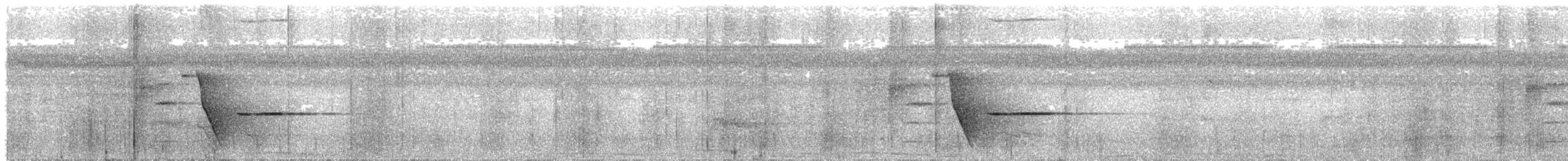 White-bellied Thicket-Fantail - ML640686442