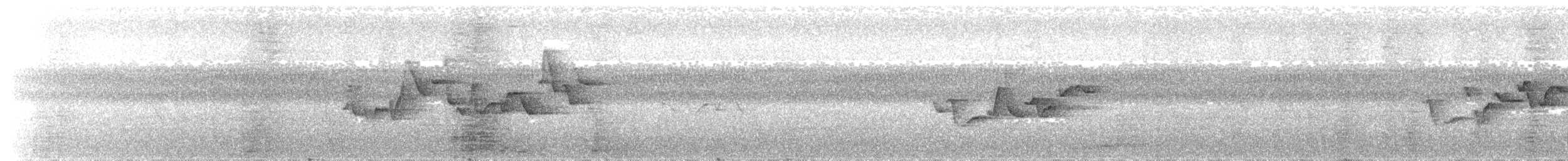 Island Leaf Warbler - ML640686712