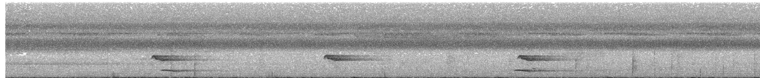 Медівник рогодзьобий - ML640686833