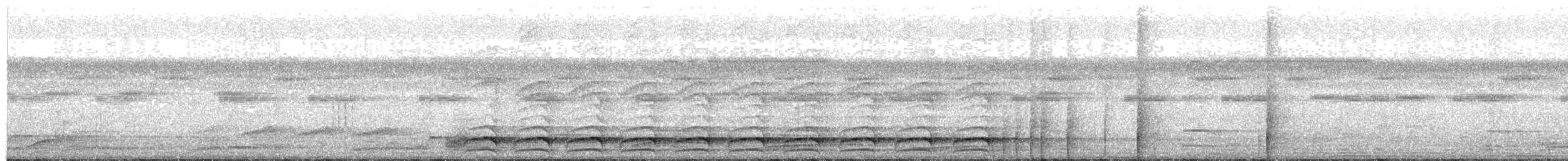 Kleinparadiesvogel - ML640686842