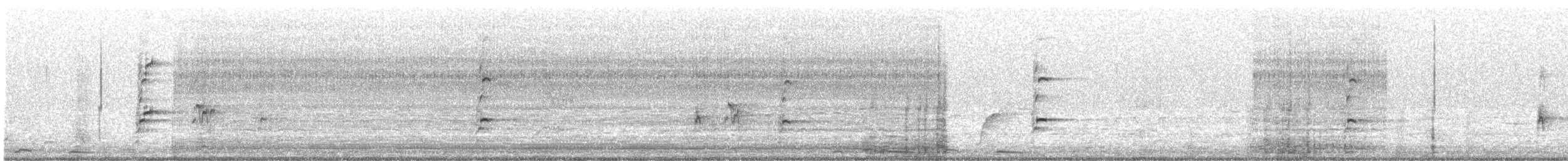 Beach Thick-knee - ML640688110