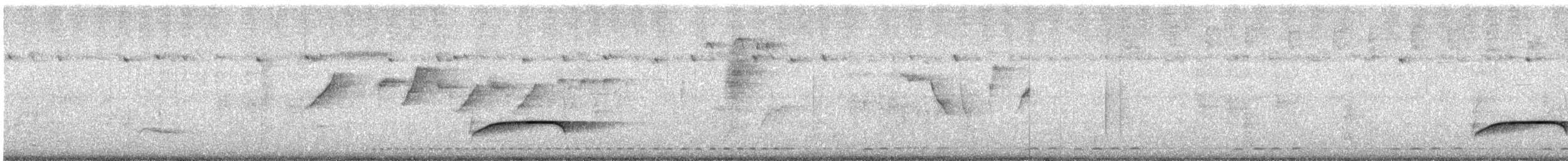 Streaked Wren-Babbler - ML640688500