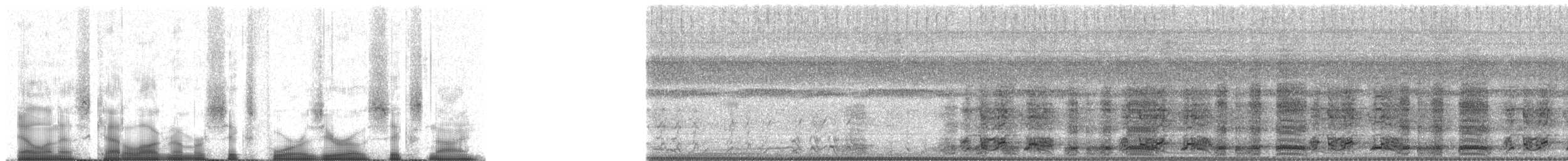 Краснохвостая чачалака (ruficauda) - ML64069