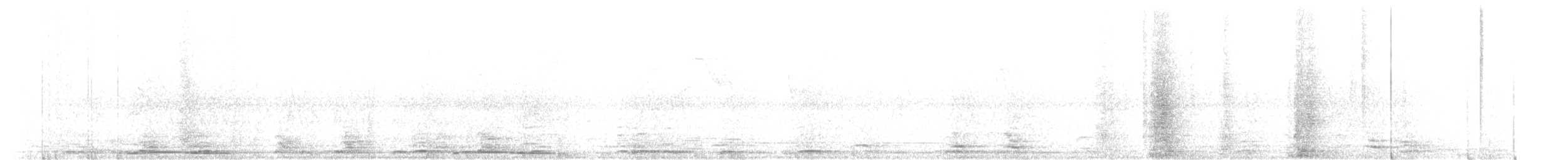 Picazuro Pigeon - ML640690581