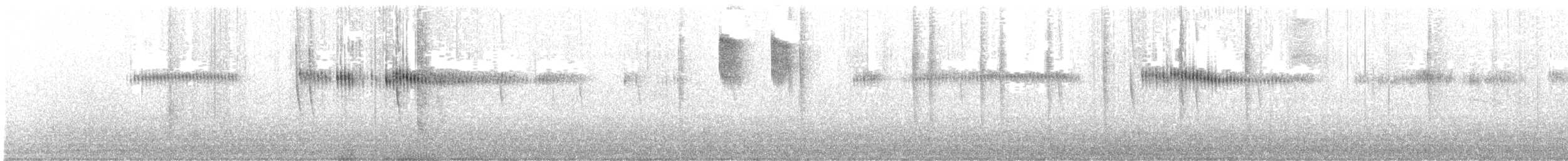 Broad-tailed Hummingbird - ML640693470